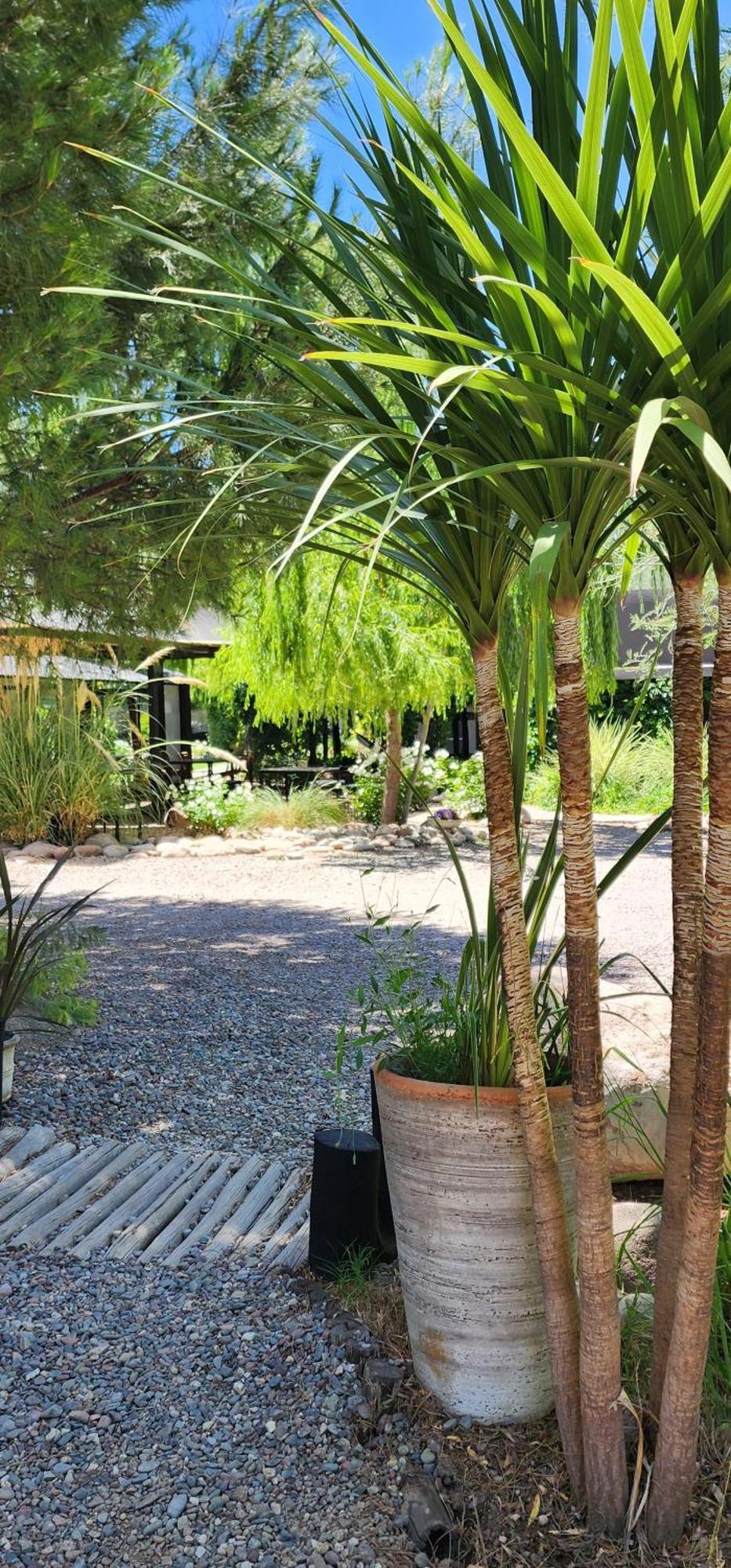Finca La Puebla 호텔 La Consulta 외부 사진