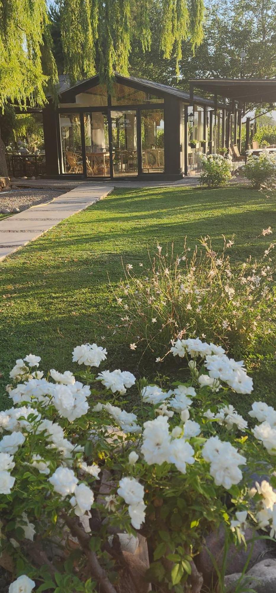 Finca La Puebla 호텔 La Consulta 외부 사진