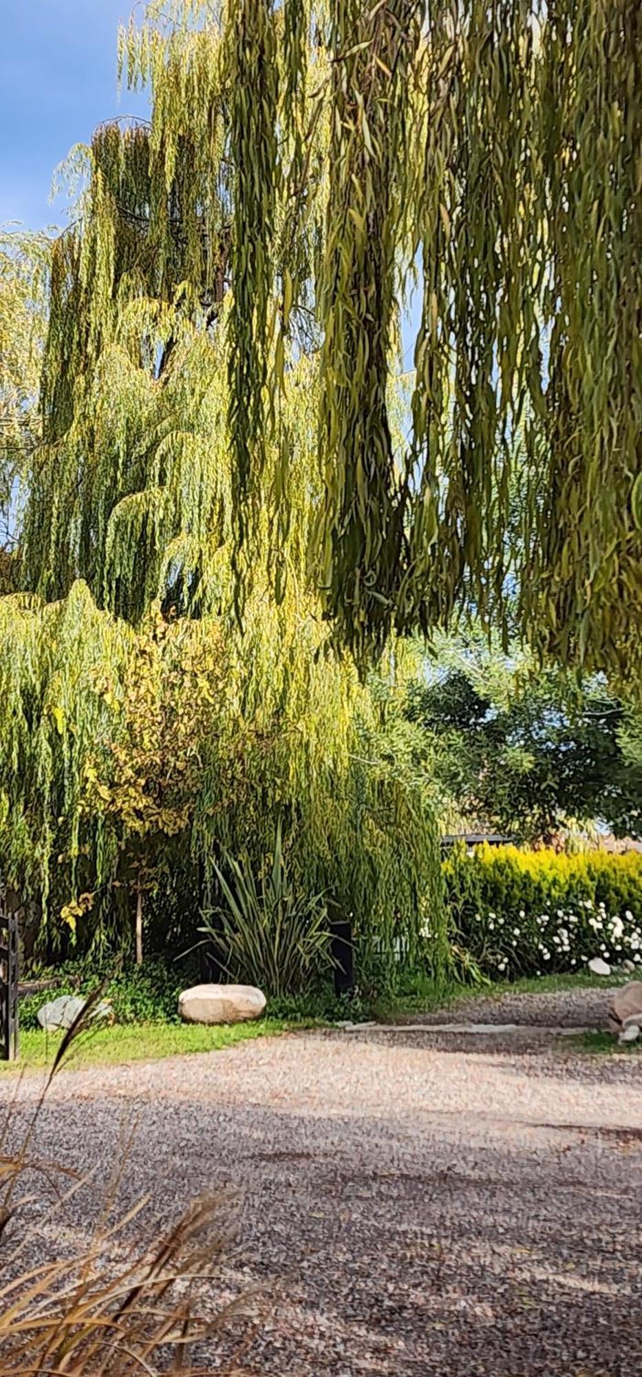 Finca La Puebla 호텔 La Consulta 외부 사진